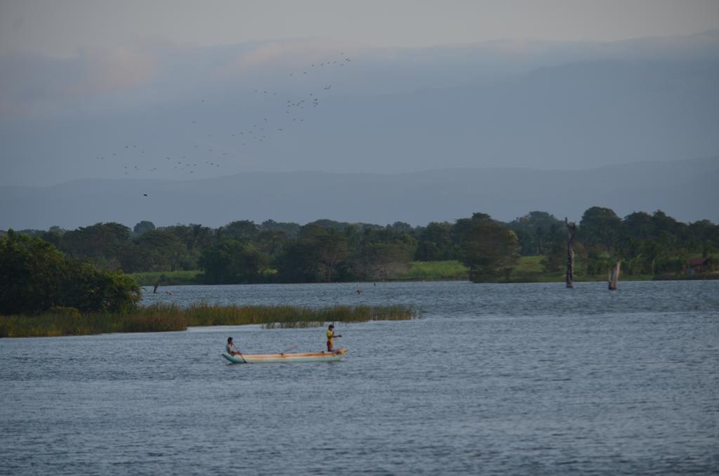 Makulu Safari Camping